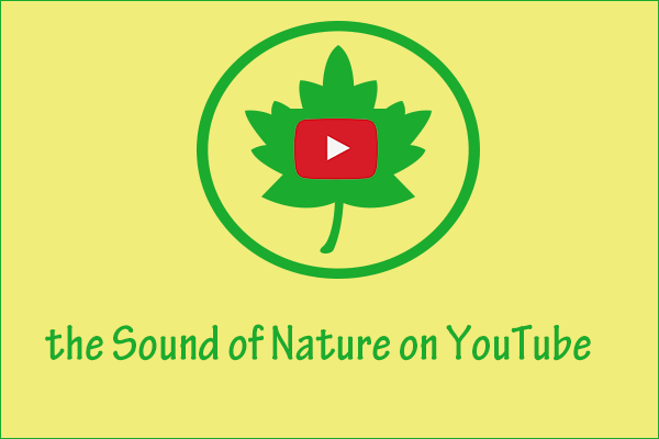 Get the Sound of Nature on YouTube from These 7 Channels!