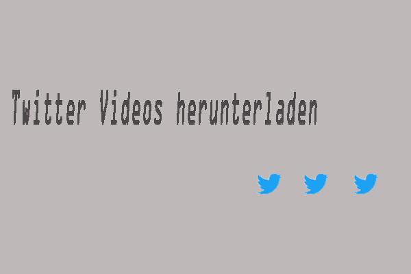 Wie man Twitter Videos herunterladen kann (Computer+Handy)