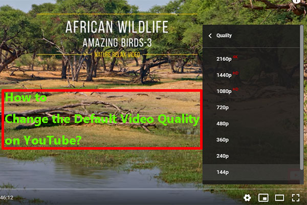 How Do I Change the Default Video Quality on YouTube?
