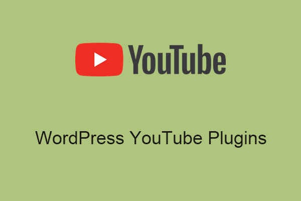 Best WordPress YouTube Plugins for Your Websites in 2025